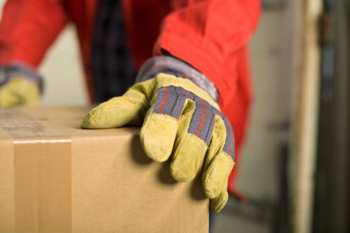 Hand, Wrist and Finger Safety (C)